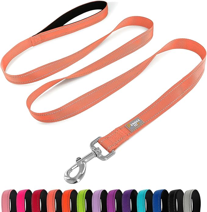 Reflective Dog Leash 6 FT Padded Handle Nylon Dogs Leashes for Small Dogs Coral