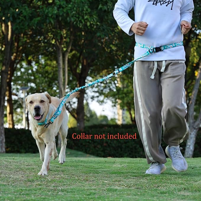 Hands Free Dog Leash, No Pull Bungee Dog Running Waist Leash, with Car Seat Belt, Reflective Stripes, Heavy Duty for Medium and Large Dogs. (Daisy Green, Large)