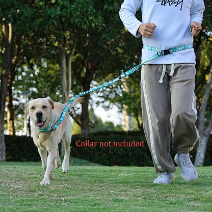Hands Free Dog Leash, No Pull Bungee Dog Running Waist Leash, with Car Seat Belt, Reflective Stripes, Heavy Duty for Medium and Large Dogs. (Daisy Green, Large)