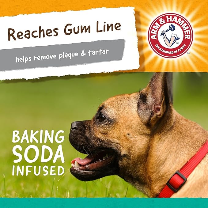 Arm & Hammer for Pets Super Treadz Gorilla Dental Chew Toy for Dogs - Dog Dental Toys Reduce Plaque & Tartar Buildup Without Brushing - Safe for Dogs up to 35 Lbs (Pack of 3)