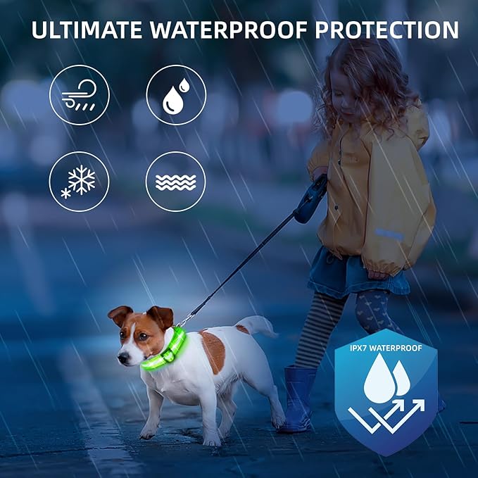 Super Bright LED Dog Collar - Fully Waterproof & Adjustable Glow Collar - USB-C Rechargeable for Night Walking, Safety - Flashing Lighted Collar for Dogs(Green,L/XL)