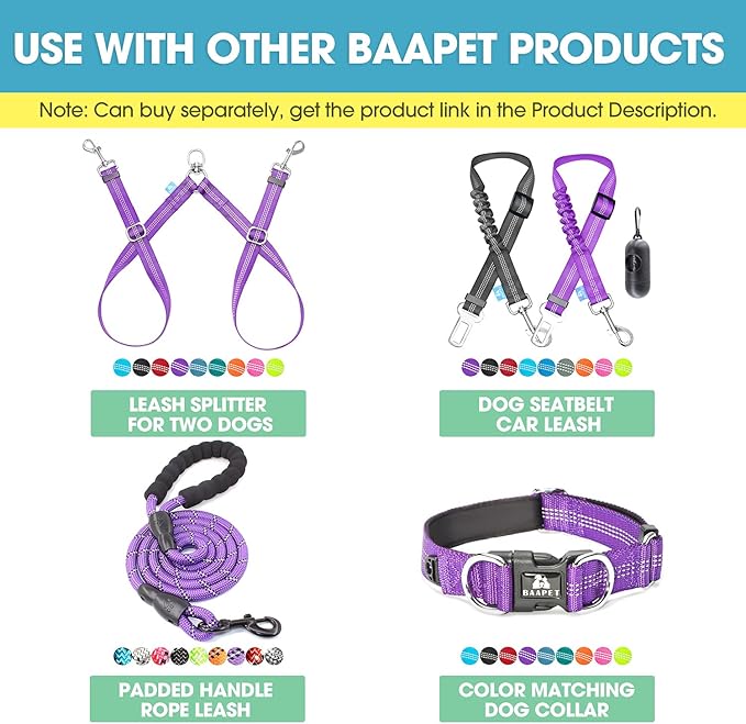 BAAPET 5 Feet Nylon Dog Leash with Triple Reflective Threads and Comfortable Padded Handle for Walking, Training Lead Small Puppy, Medium and Large Dogs (1.0'' x 5 FT, Purple)