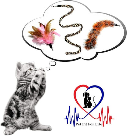 Pet Fit For Life 3 Piece Dual Rod Feather Teaser and Exerciser with a Slithering Snake for Kitten and Cats - Cat Toy Interactive Cat Wand