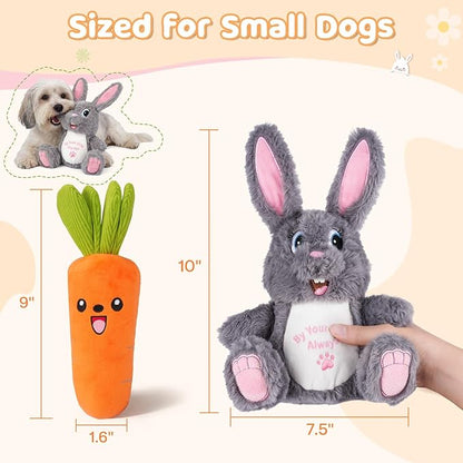 Dog Toys for Small Dogs, Cute Bunny & Carrot Plush Squeaky Dog Toy Set with Crinkle Paper, Soft Interactive Puppy Toys for Indoor Play, Gentle Chewers, 2 Pack