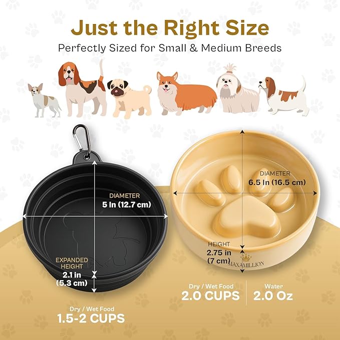 2 Ceramic Slow Feeder Dog Bowls for Small & Medium Dogs – Heavy Puzzle Maze Ceramic Dog Bowl for Fast Eaters to Stop Bloat, Vomiting & Choking – Non-Slip, Healthier and Easy-to-Clean