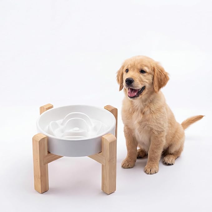 Ceramic Slow Feeder/Dog Bowl for Small Medium Dogs,Elevated/Raised Slow Feeding Dog Food Water Dish Heavy Weighted,Puzzle Eating Bowl Modern Maze (White, 8.26in)