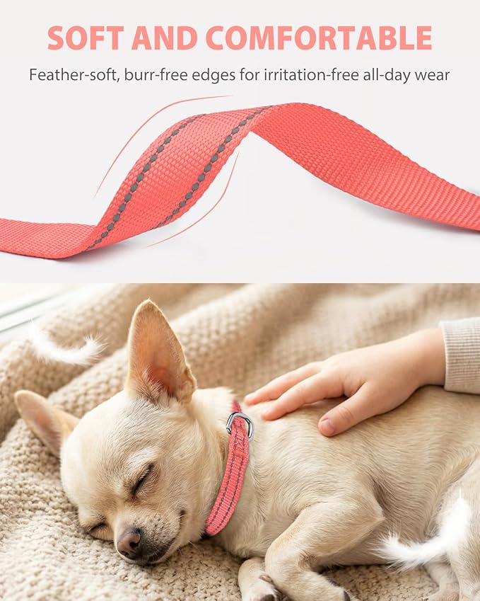 Joytale Puppy Collar, Feather-Light Double-Sided Reflective Nylon Collar for Night Safety, Adjustable Quick-Release for Extra Small Dogs, Pink, XS (3/8" Width)