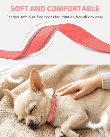 Joytale Puppy Collar, Feather-Light Double-Sided Reflective Nylon Collar for Night Safety, Adjustable Quick-Release for Extra Small Dogs, Pink, XS (3/8" Width)