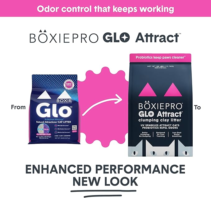 Boxie Glo Clumping Clay 30 Day Odor Control Cat Litter, 99.9% Dust-Free, Low Tracking, UV Light Attractant, 16 lb