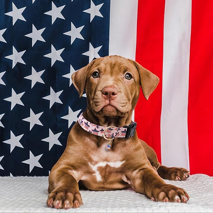 Faygarsle Cotton Dogs Collar Cute 4th of July Independence Day Dog Collars Pink Blue American Flag Star Patterns Dog Collarfor Girl Female Boy Male Small Medium Large Dogs S