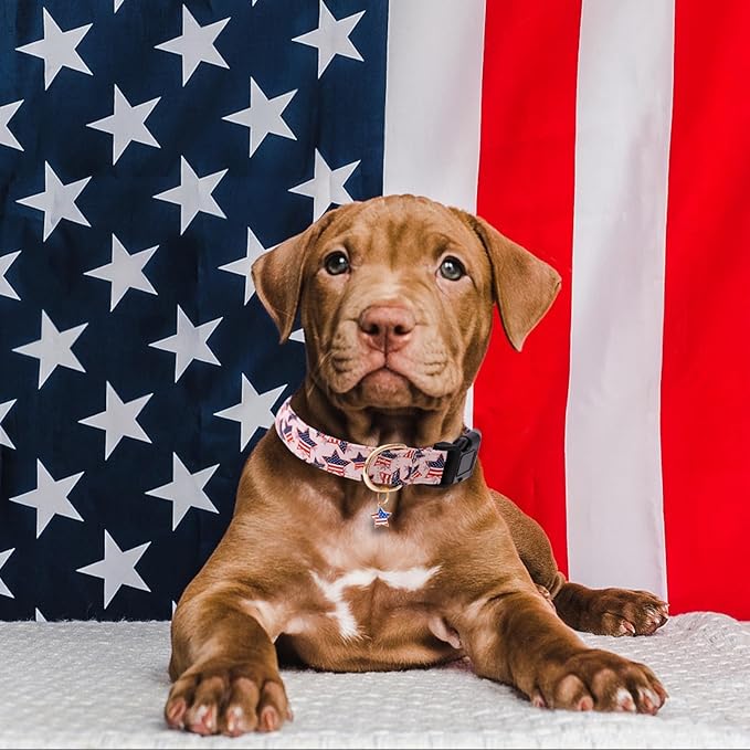 Faygarsle Cotton Dogs Collar Cute 4th of July Independence Day Dog Collars Pink Blue American Flag Star Patterns Dog Collarfor Girl Female Boy Male Small Medium Large Dogs XS