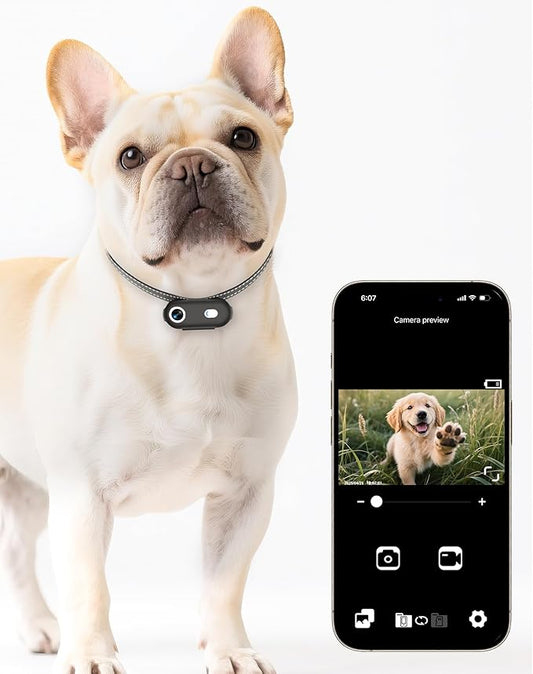 Dog & Cat Camera Collar with Phone APP, 1080P HD Video Recording, XS/M-Size Pet POV Cam for Dogs & Big Cats, Cordless Pet Collar Cameras with APP Viewing
