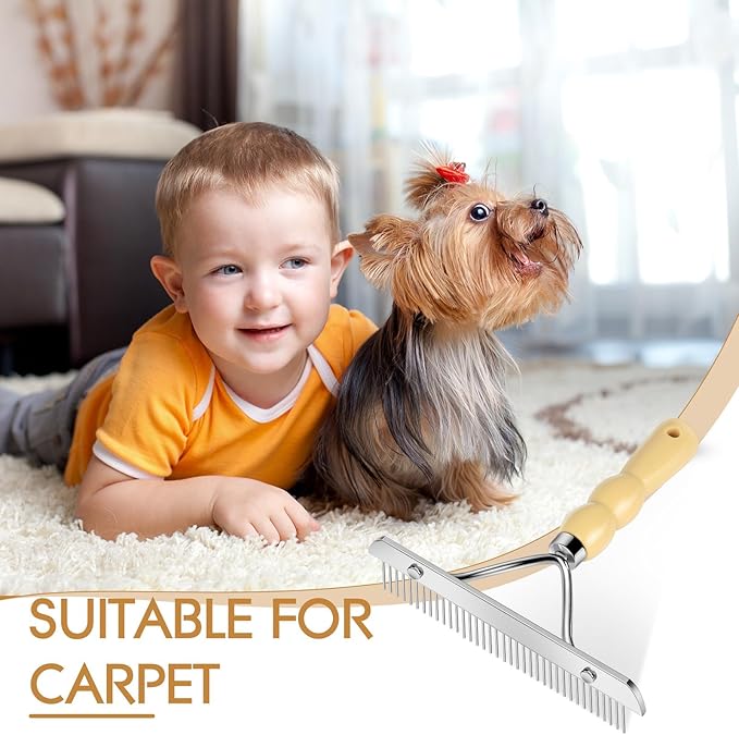 Metal Handheld Carpet Rake for Fluffy Plush, Pet Hair Removal Tool, Reusable Cat & Dog Hair Remover Comb, Brush Scraper Broom for Shag Rugs, Home Cleaning - Efficient Pet Hair Pickup