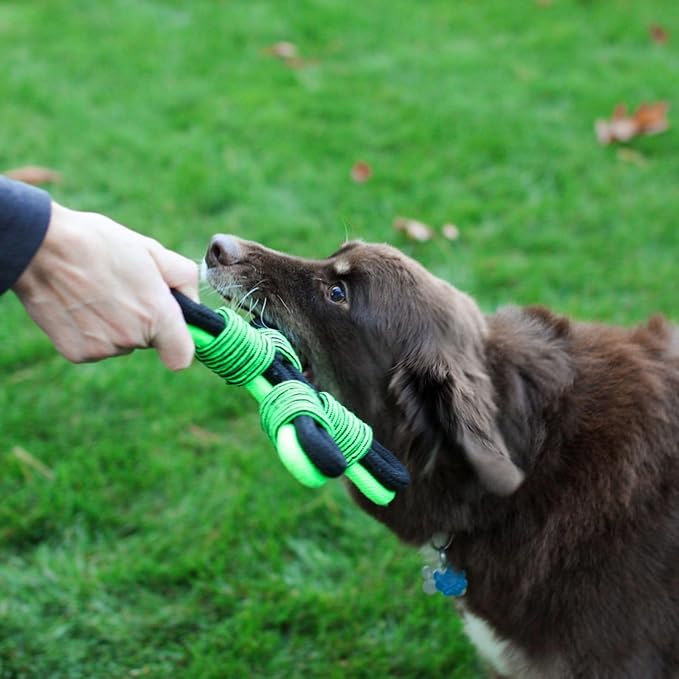 Jolly Pets TIK-Tak-Tugzz Large/XL X Rope Dog Toy