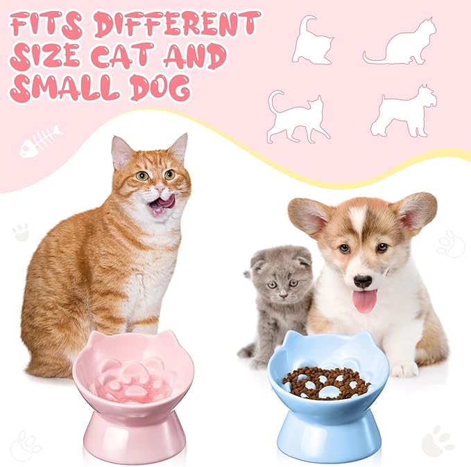 2 Pcs Ceramic Raised Slow Feeder Cat Bowl, 5.91inch Elevated Cat Slow Feeder Bowl Tilted Anti Vomiting for Dry Wet Food and Water Easy to Clean High Edge(Pink, Blue)