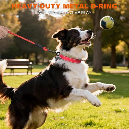 Taglory Reflective Dog Collar with Safety Locking Buckle, Soft Neoprene Padded Dog Collar for Medium Dogs, Metal D-Ring, Adjustable Nylon Neck Strap for Daily Walking, Training & Running, Red, M