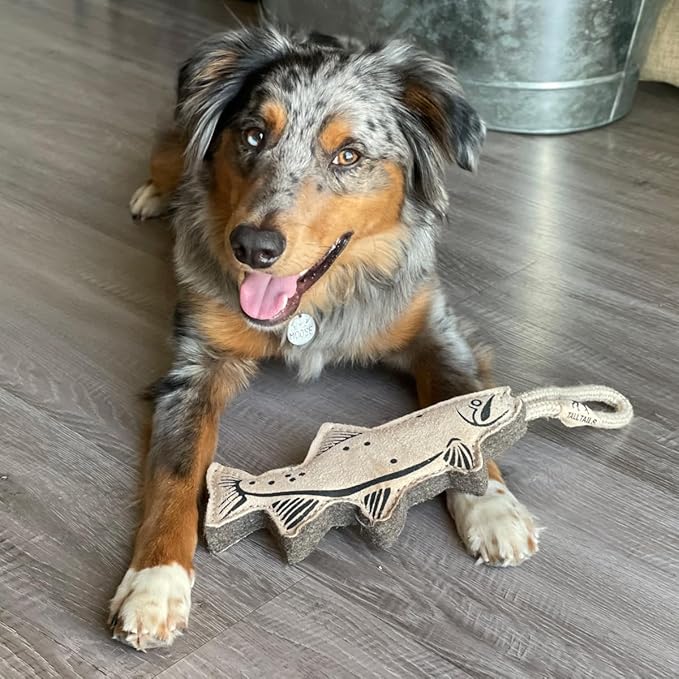 Tall Tails Natural Leather Trout Tug Toy for Dogs