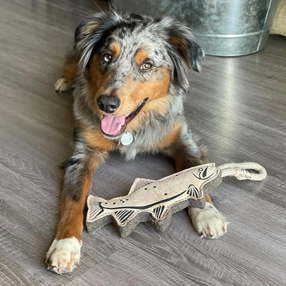 Tall Tails Natural Leather Trout Tug Toy for Dogs