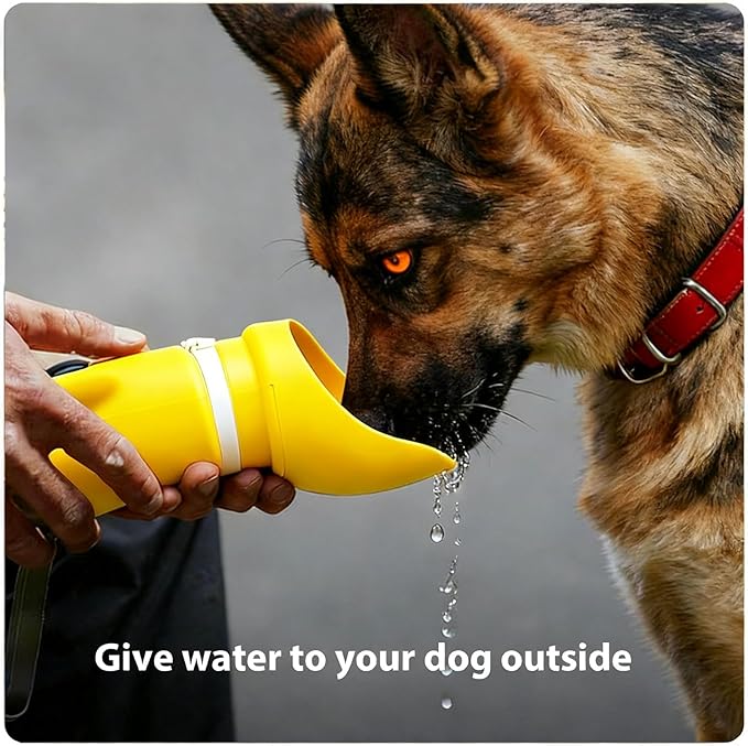 Jalopink Portable Dog Water Bottle, 2-in-1 Leak Proof & Collapsible Silicone Pet Dispenser with Built-in Bowl, Food Grade Travel Cup for Walking, Hiking (19oz/550ml, Yellow)