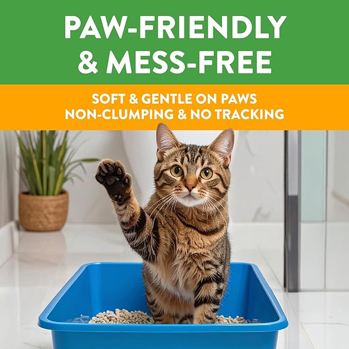Feline Pine Platinum Non-Clumping Cat Litter, Feline Pine Cat Litter 17lb