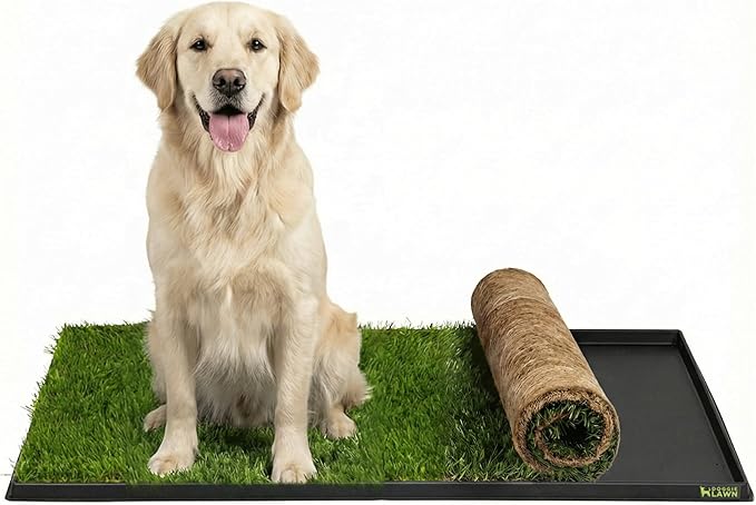 DoggieLawn XL - Real Grass Disposable Pet Potty - 48 x 24 Inches with Plastic Tray - Potty Training Pad for Dogs