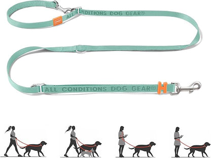 HOWGO Hands Free Dog Leash with Padded Handle,Multifunctional Crossbody Waist Leash for Walking Running Jogging Training,7.5 FT Nylon Adjustable Length for All Breeds(MintGreen, Standard)
