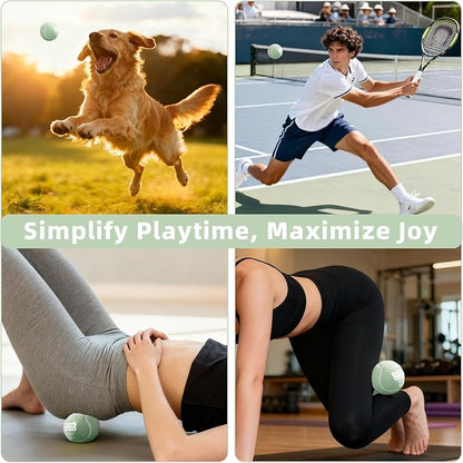 2.5" Dog Tennis Balls 6-Pack Silent Bounce, Tough Rubber Core, Durable Fetch & Training Toys for Indoor/Outdoor Play, for Small Medium Large Dogs (Light Green, 6 Pack)