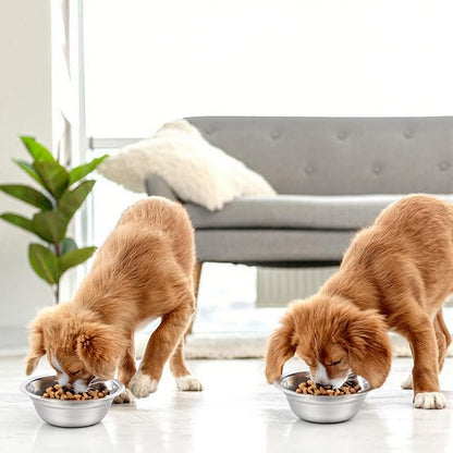 36 Pcs Stainless Steel Dog Bowls, 10 oz Metal Pet Food and Water Bowls, Dishwasher Safe Feeder Replacement Bowl for Kennel Crate