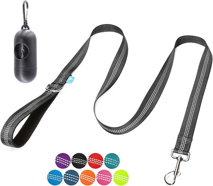 BAAPET 5 Feet Nylon Dog Leash with Triple Reflective Threads and Comfortable Padded Handle for Walking, Training Lead Small Puppy, Medium and Large Dogs (1.0'' x 5 FT, Black)
