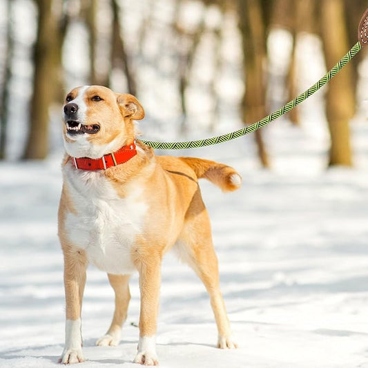 Mile High Life | Mountain Climbing Dog Rope Leash with Heavy Duty Metal Sturdy Clasp | Genuine Leather Tailored Connection with Strong Stitches (Lime Green, 60 Inch (Pack of 1))