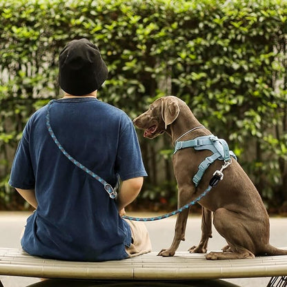 Pawstrip Hands Free Multifunctional Dog Leash - Reflective Waist Leash for Dog Walking & Training - Adjustable Crossbody Nylon Double Leashes for Small to Large Dogs