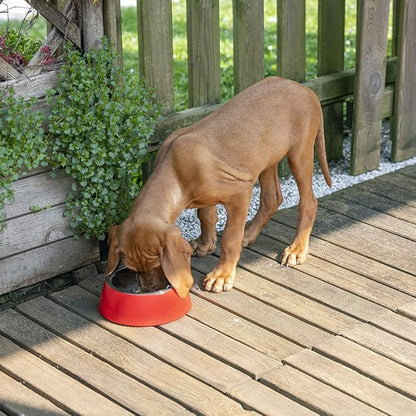 Ferplast Jolie Dog Bowl Cat Bowl - Stainless Steel Water & Food Dog Bowls with Plastic Holder, Non-Slip, Medium (0.9 L), Red