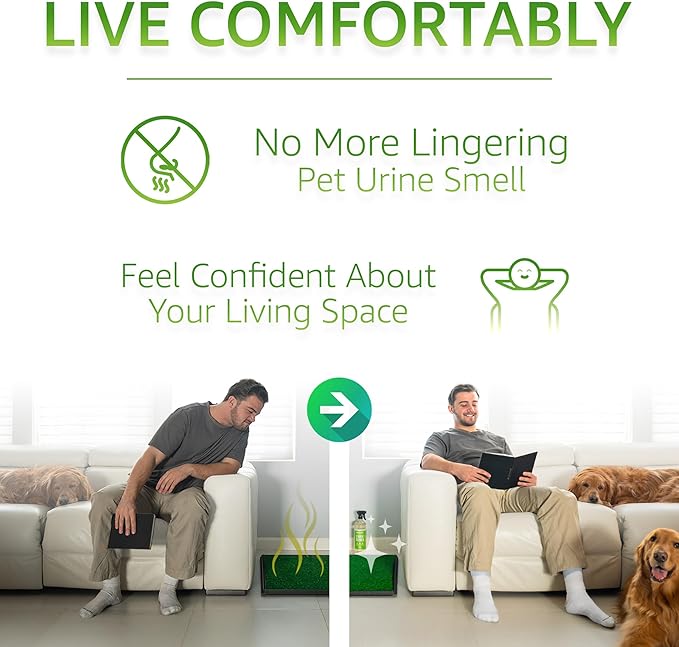 Paws and Play Turf Cleaner for Pet Urine Outdoor and Indoor | Artificial Grass Dog Urine Cleaner That Cleans and Deodorizes Pet Waste on Fake Grass For Dogs - 96 Fl Oz (Pack of 3)