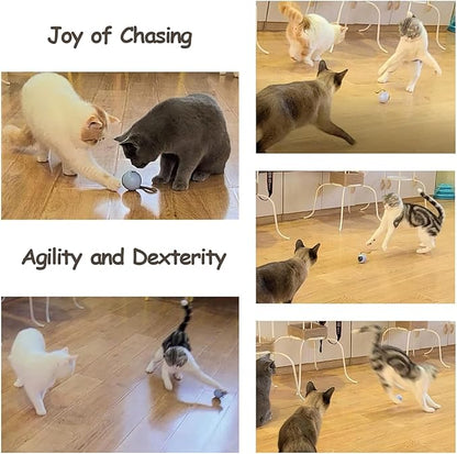 Migipaws 2-in-1 Interactive Cat Toy Ball – Paw Friendly Kicking Chasing Ball with Bonus Fluffy Tail for Indoor Cats Random Rolling Auto Escape Corners Tangle-Free Quiet USB Rechargeable (Blue)