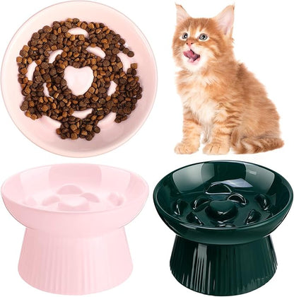 Tioncy 2 Pcs Raised Cat Slow Feeder Bowl Ceramic Elevated Cat Dog Food Bowl No Spill High Edge for Dry Wet Food and Water Easy to Clean, Dishwasher Safe (Pink,Dark Green)