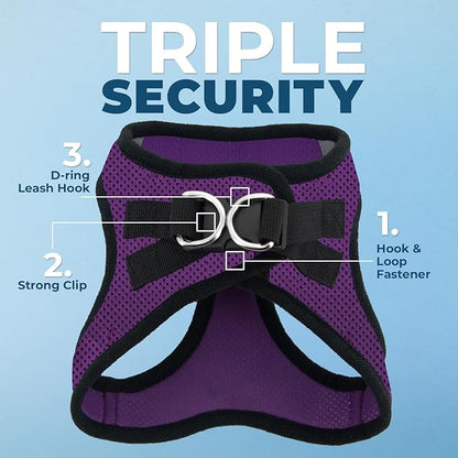 Best Pet Supplies Voyager Step-in Air Harness - All Weather Mesh, Reflective, No Pull Harness for Dogs, Cats - Secure with Hook & Loop Fastener, Buckle, Double D-Rings - Purple/Black Trim, XS