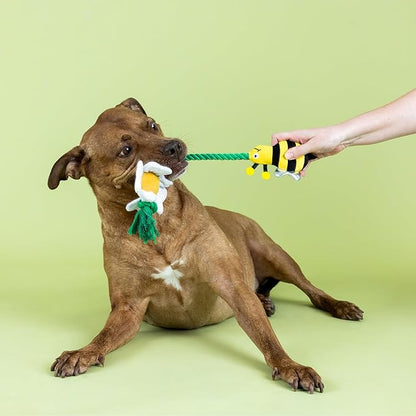 Fringe Studio I’M Pollen for You Plush Dog Toy, Pet Shop Collection (314432)
