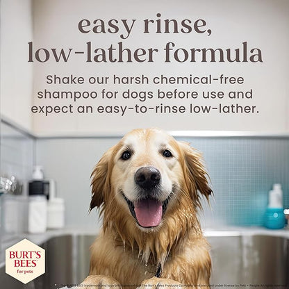 Burt’s Bees for Pets Manuka Honey Tearless 2 in 1 Shampoo and Conditioner for Puppies with Jojoba Oil, 16 Fl Oz
