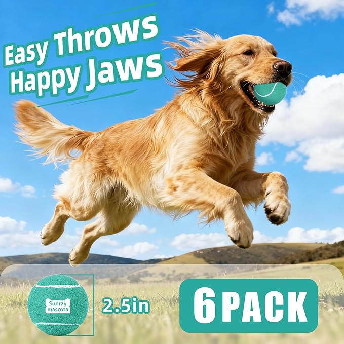 2.5" Dog Tennis Balls 6-Pack Silent Bounce, Tough Rubber Core, Durable Fetch & Training Toys for Indoor/Outdoor Play, for Small Medium Large Dogs (MARRS Green, 6 Pack)