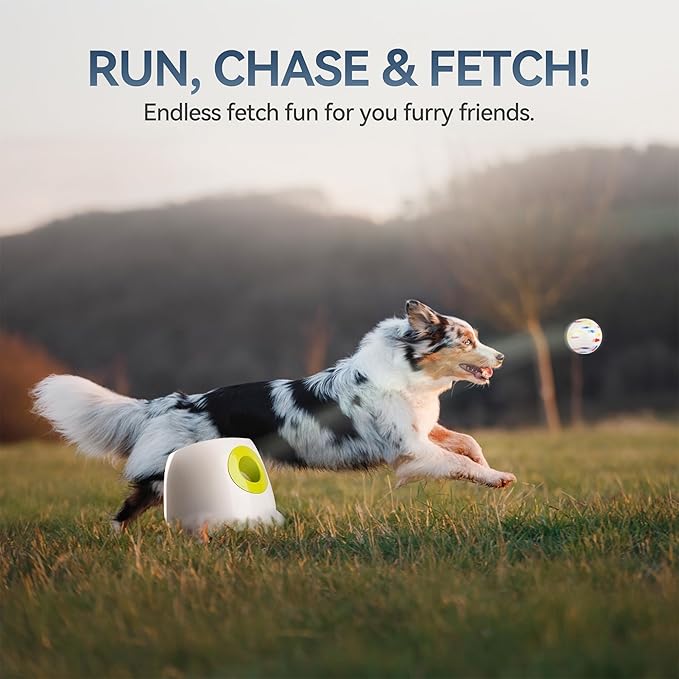 ALL FOR PAWS Automatic Ball Launcher for Dogs, Interactive Puppy Pet Balls Outdoor Thrower for Medium to Large Dogs, Ball Throwing Machine for Dogs, 6 ETPU Balls Included(2.5"), Rechargeable Battery