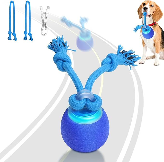 Interactive Dog Toys with Motion Activated, Squeaky Dog Toy Active Rolling Ball for Puppy and Medium Dogs, USB Rechargeable
