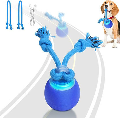 Interactive Dog Toys with Motion Activated, Squeaky Dog Toy Active Rolling Ball for Puppy and Medium Dogs, USB Rechargeable