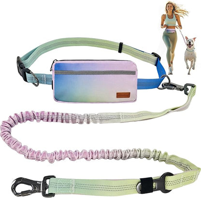 Stylish Car‑Safe Hands‑Free Bungee Dog Leash with Adjustable Waist Belt & Seat‑Belt Hook – Reflective No‑Pull Leash with Zipper Pouch for Running, Hiking & Travel (Powder Blue Gradient)