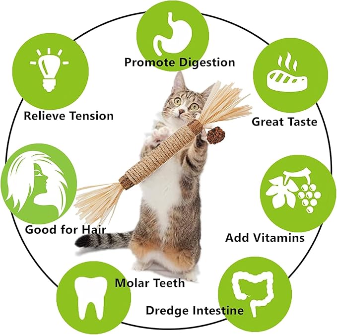 Cat Toys 21Pack Silvervine Chew Stick Kitten Treat Catnip Toy Kitty Natural Stuff Catnip Matatabi for Cleaning Teeth Indoor Dental Snack Interactive