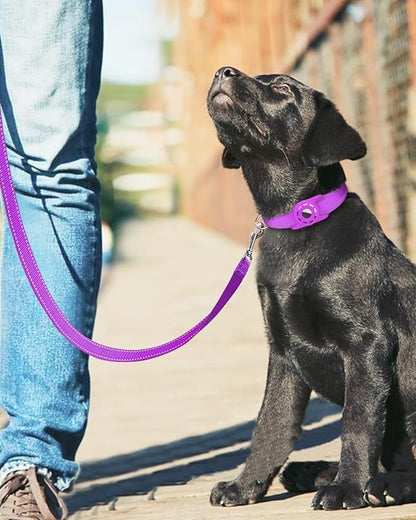 Reflective Dog Leash 6ft Soft Padded Handle Nylon Lead for Medium & Large Dogs, Durable Walking Training Leash for Night Safety (Purple,1Inch Wide)