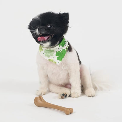 SPOT Bam-Bones Bone - Made with Strong Bamboo Fiber, Durable Long Lasting Dog Chew for Light to Moderate Chewers, Great Toy for Adult Dogs & Teething Puppies under 25lbs, 5.75in, Chicken Flavor