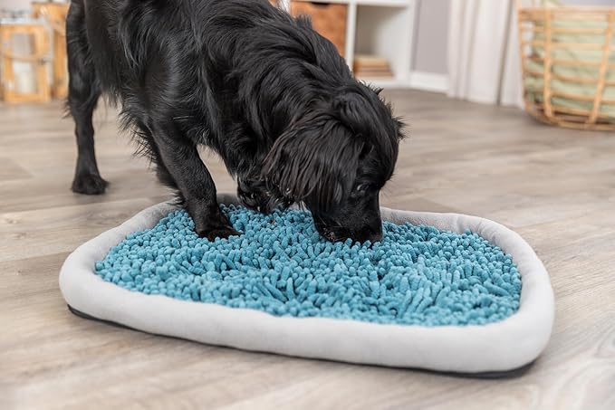 TRIXIE Snuffle & Seek Plate, Sniff Mat, Interactive Feeding Game, Slow Feeder, Level 1 Enrichment Puzzle for Dogs & Cats (Pack of 2)