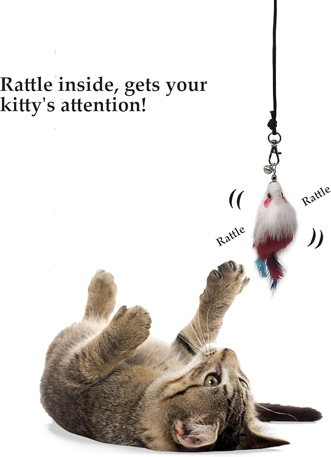 Pet Fit For Life - 10 Piece Kitten Toy Refill Pack - Replacement for Indoor Cat's Interactive Wand and Catch Wand - Features 5 Squiggly Worms and 5 Furry Mouse Feather Attachments