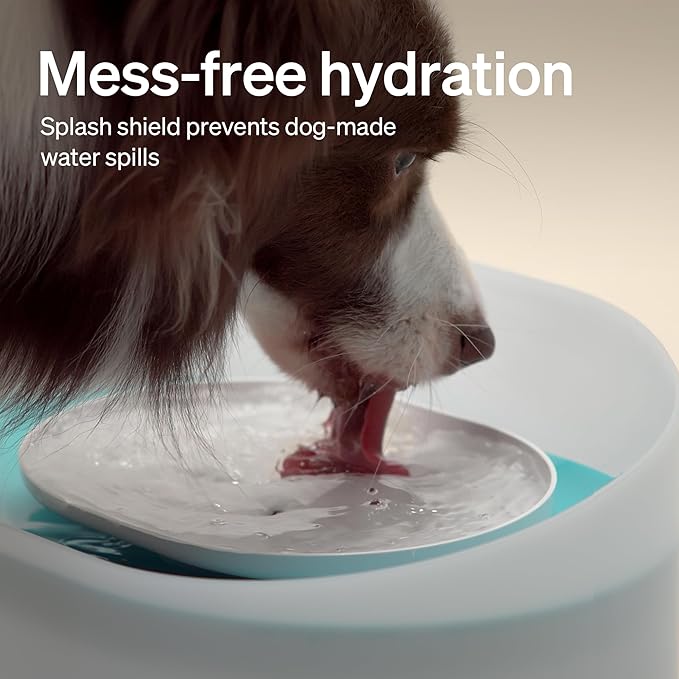 PETLIBRO 2.1Gal/8L Dog Water Fountain for Large Dog, Anti-Splash Dog Water Bowl Dispenser, Super Quiet Pet Water Fountain, 5 Layer Filtration Water Dispenser for Large Dogs Cats and Multi-Pet Homes
