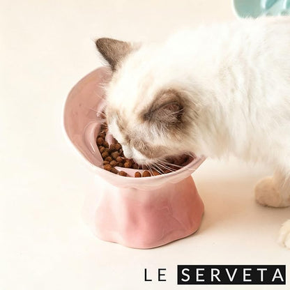 Elevated Ceramic Cat Bowl, Tilted Slow Feeder Pet Dish with Gradient Color Coating, 3.3 Ounces Capacity, Anti-Gulping Design with Rose Bouquet Design (Gradient Pink)